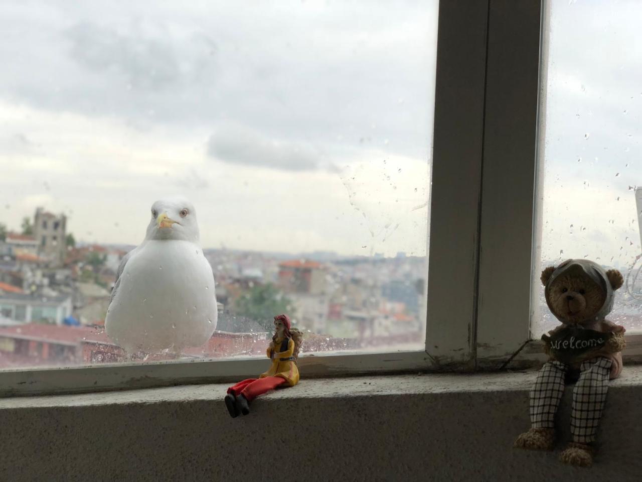 Nacre Boutique Residence イスタンブール エクステリア 写真